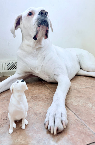 Custom pet replica statue DEPOSIT ONLY Whimsical Design Shop