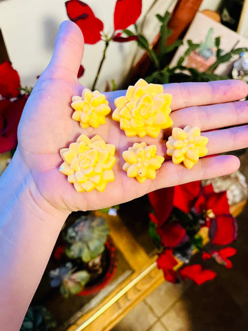 Succulent Wax melts