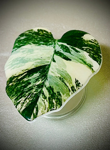 Houseplant leaf phone grip